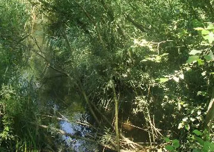 Appartementhaus Loewenzahn Bad Füssing