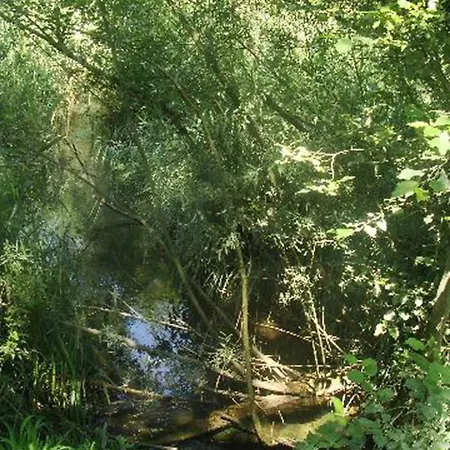 Appartementhaus Loewenzahn Bad Füssing